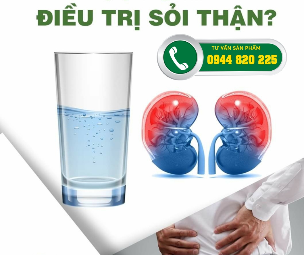 Nên uống kim tiền thảo trước hay sau bữa ăn?
