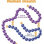 Vai trò của insulin trong điều trị bệnh nhân đái tháo đường bạn nên biết ?